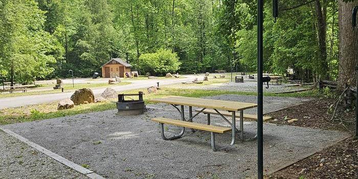 Camper submitted image from Curtis Creek Campground
