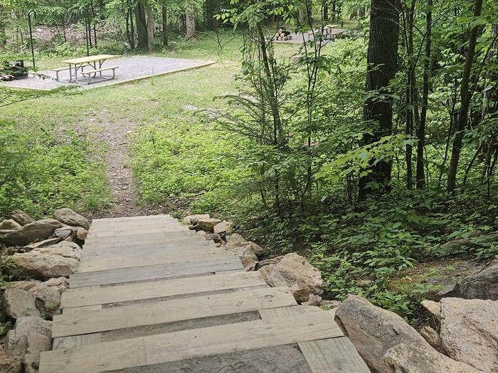 Camper-submitted photo at Curtis Creek Campground near Linville, NC
