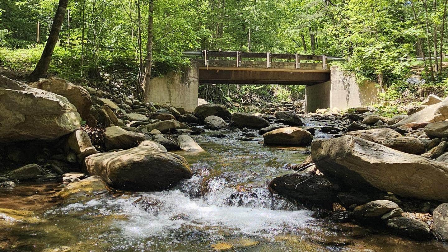 Camper-submitted photo at Curtis Creek Campground near Linville, NC