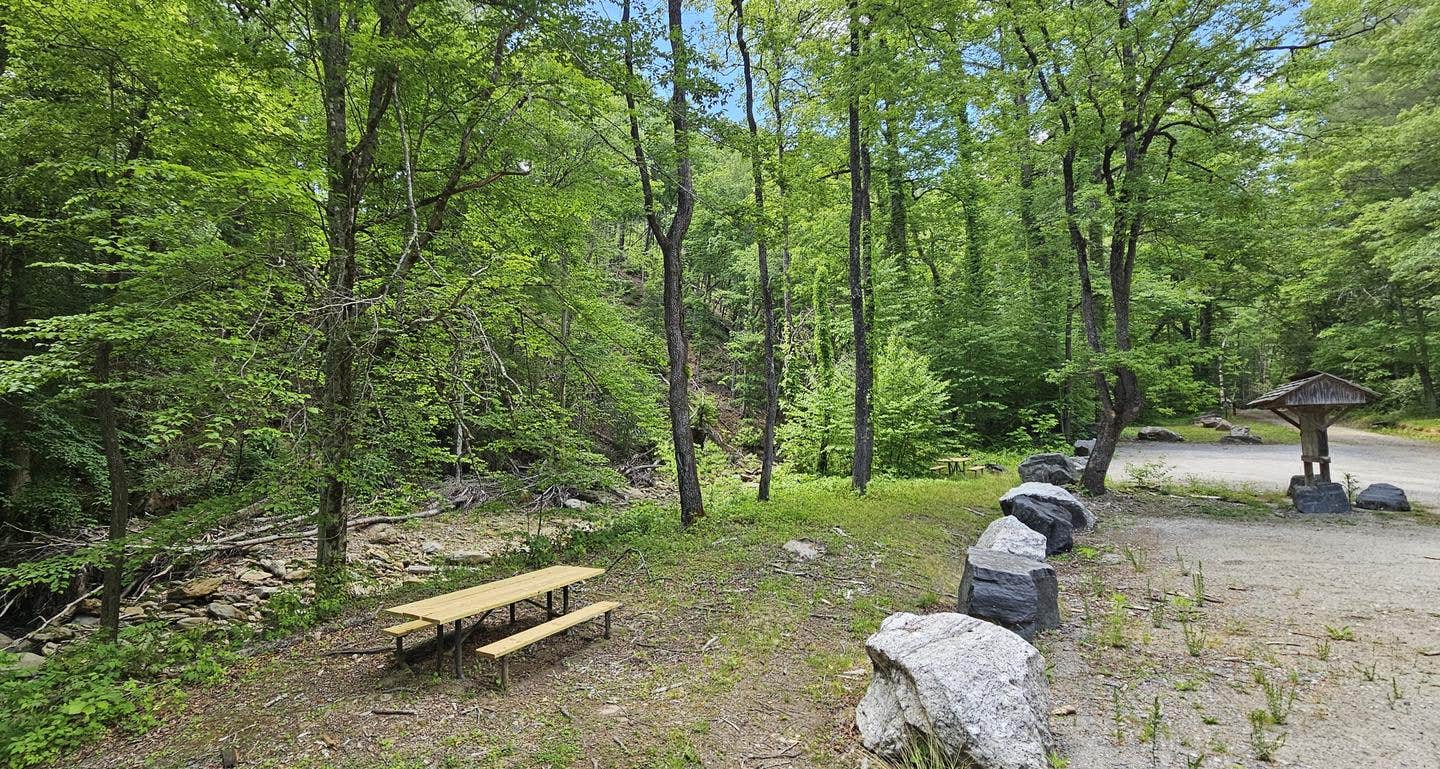 Camper-submitted photo at Curtis Creek Campground near Linville, NC