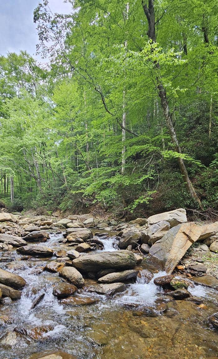 Camper-submitted photo at Curtis Creek Campground near Linville, NC