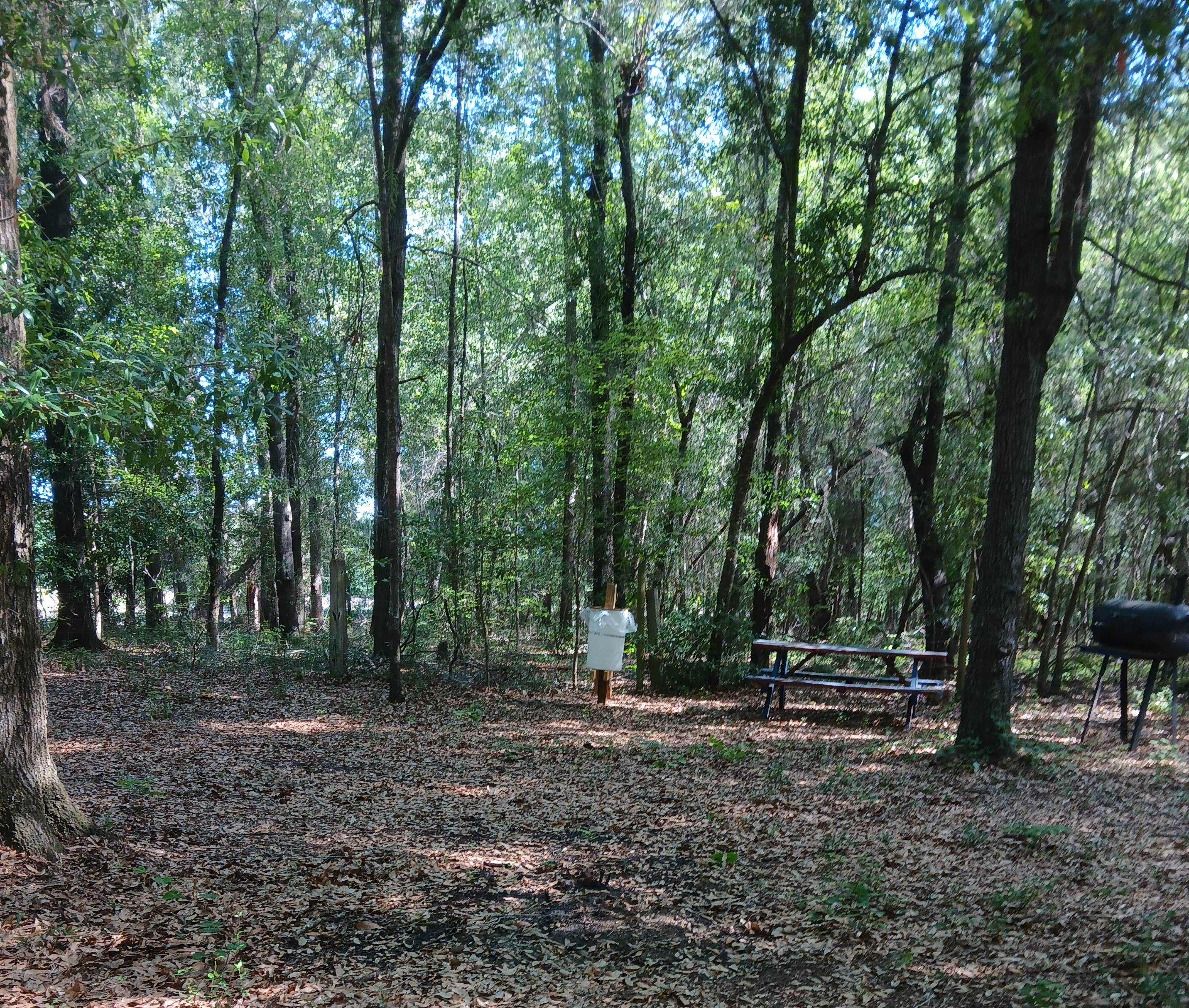 Camper-submitted photo at Backwoods Spirits near Sumter, SC