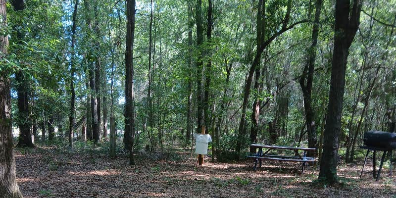Camper submitted image from Backwoods Spirits