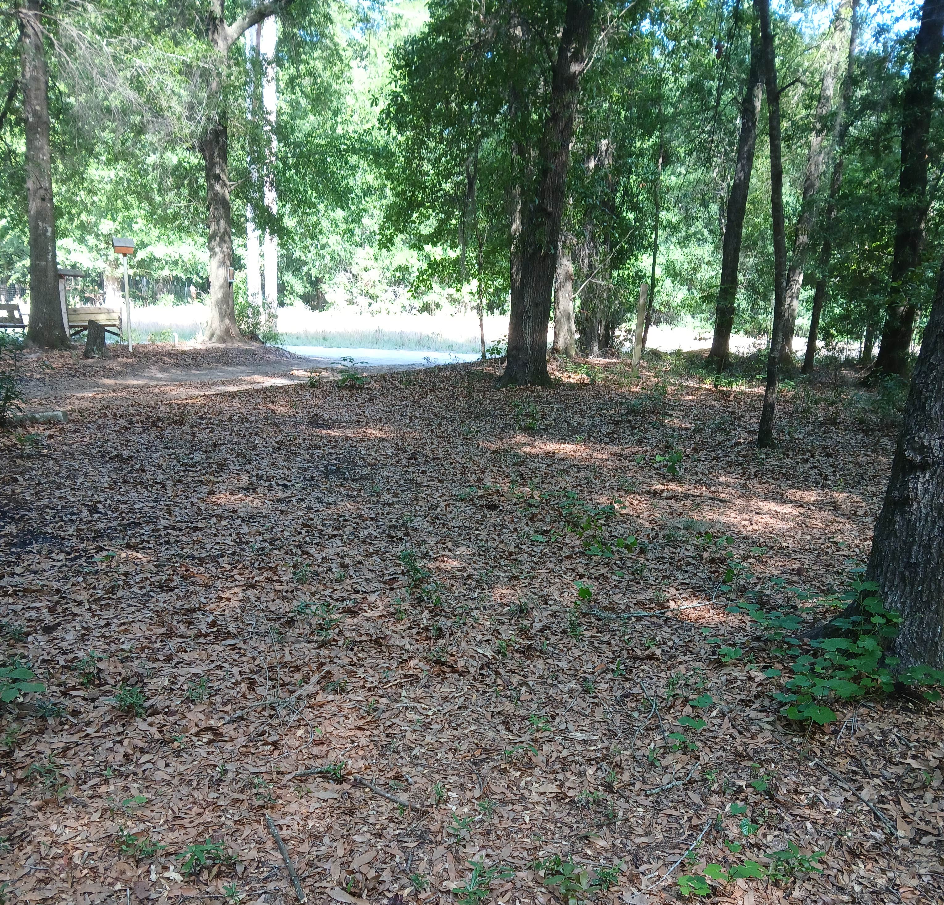 Camper-submitted photo at Backwoods Spirits near Sumter, SC