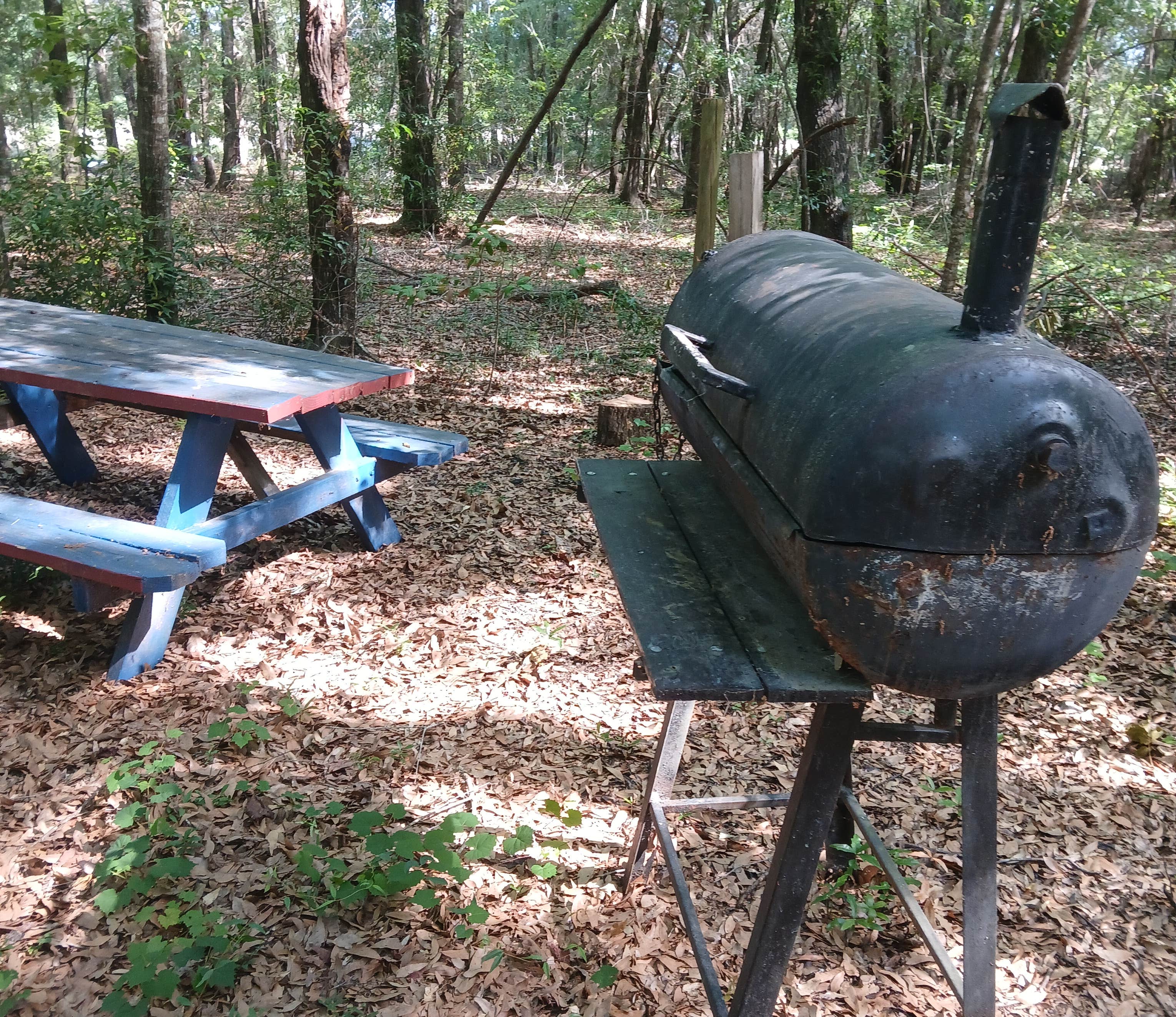 Camper-submitted photo at Backwoods Spirits near Sumter, SC