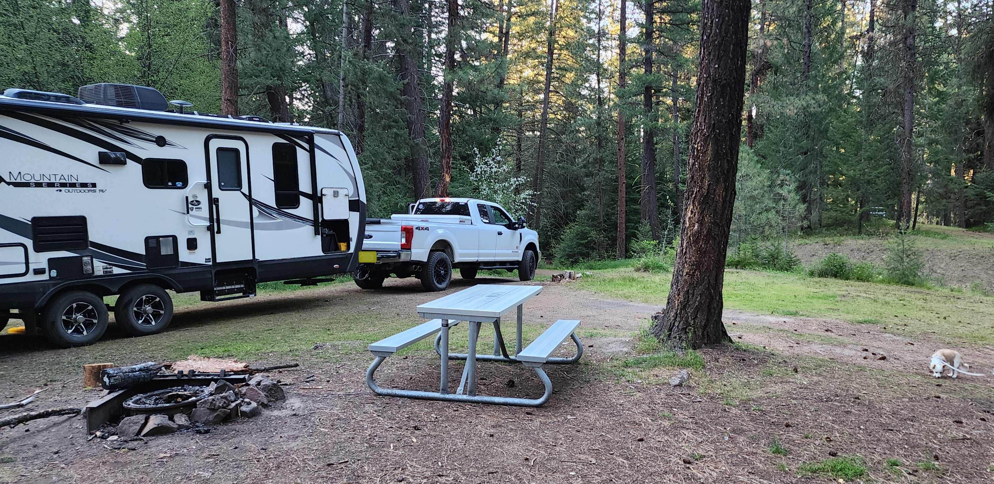 Camper-submitted photo at Bear Hollow County Park near Condon, OR