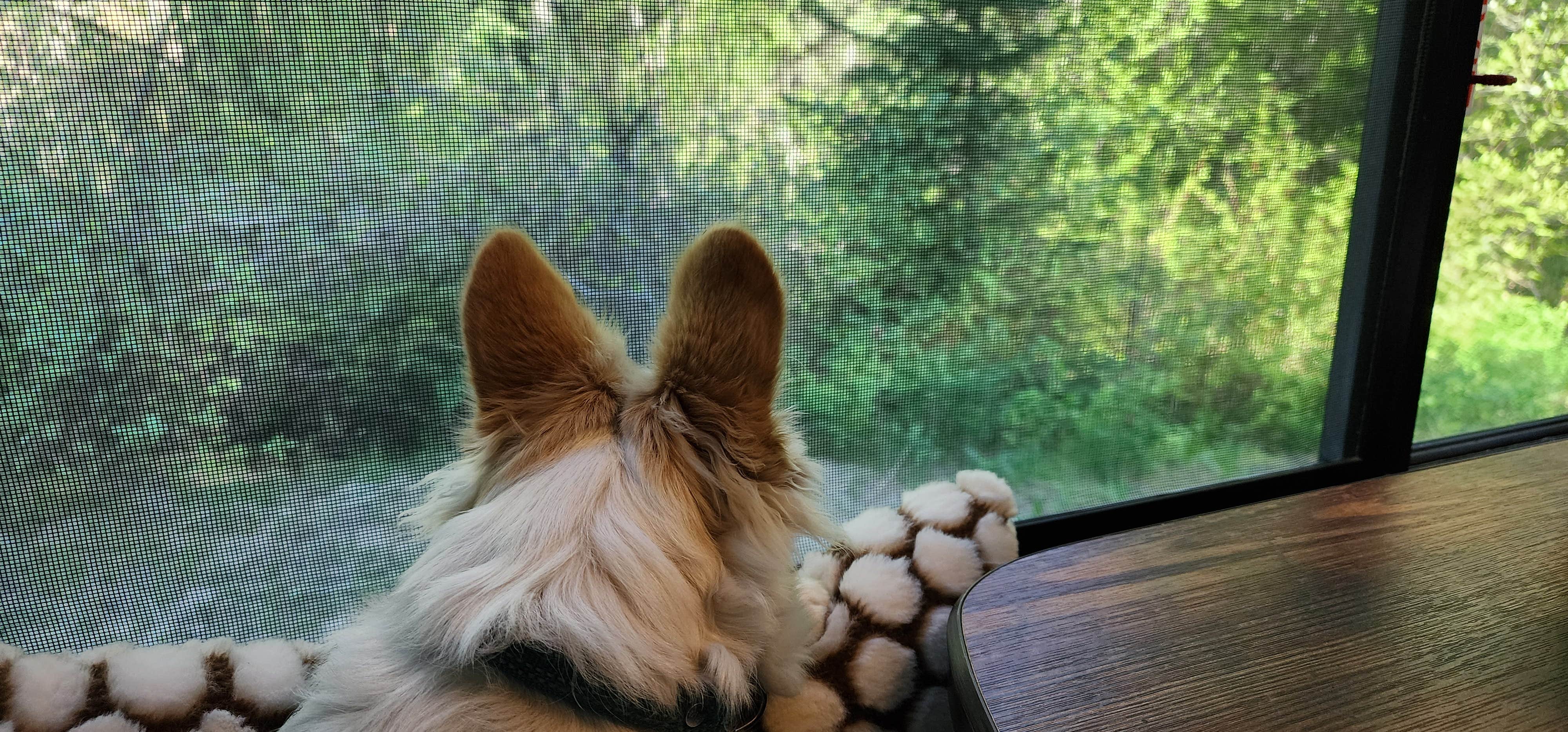 Camper-submitted photo at Bear Hollow County Park near Condon, OR