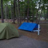 Review photo of Wilderness State Park Camping by Emily B., June 11, 2016