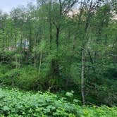 Review photo of Sandy Riverfront RV Resort by Hana B., May 21, 2026