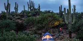 Camper submitted image from Colossal Cave Mountain Park