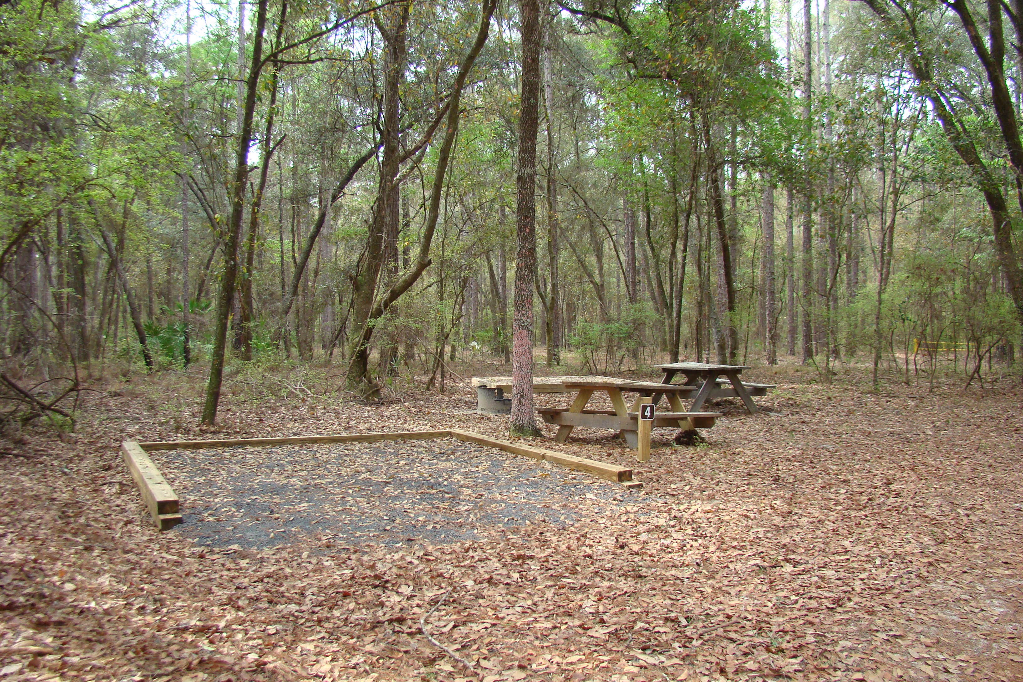 Camping near Blackwater Ranch – River Camping: Jennings State Forest- Hammock Campground, Middleburg, Florida