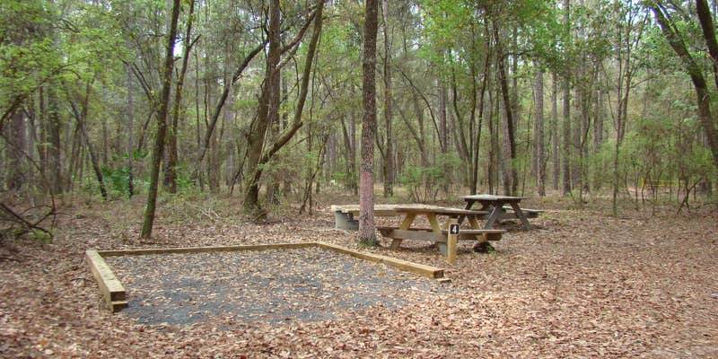 Camper submitted image from Jennings State Forest- Hammock Campground