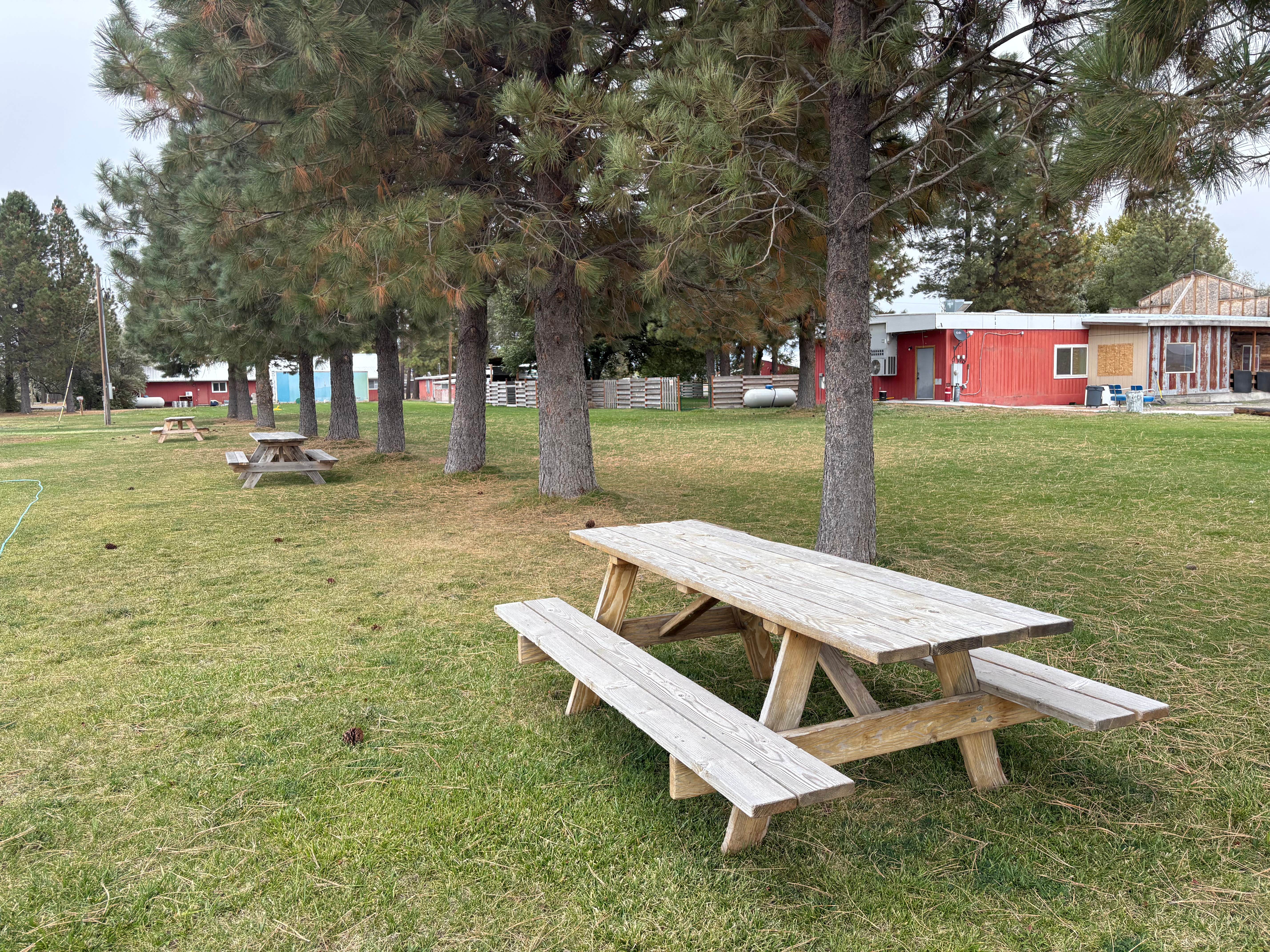 Camper-submitted photo at Homesteader Rv near Christmas Valley, OR