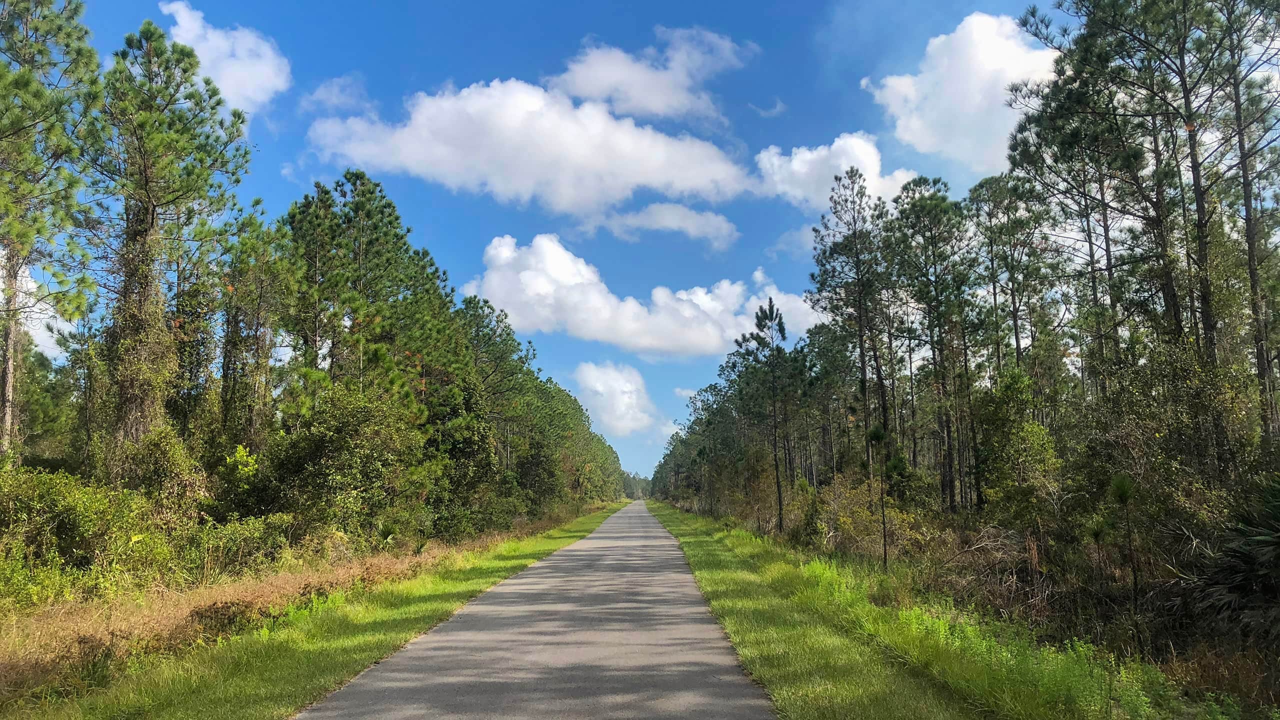 Camper-submitted photo at Wildwood Golf & RV Resort near Apalachicola National Forest