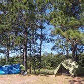 Review photo of Wilderness State Park Camping by Emily B., June 11, 2016