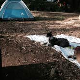 Review photo of Beverly Beach State Park Campground by Nicole S., September 29, 2016