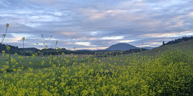 Camper submitted image from Cascade Valley Wonderland