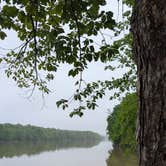 Review photo of Staunton River State Park Campground by Kaylee G., May 24, 2026