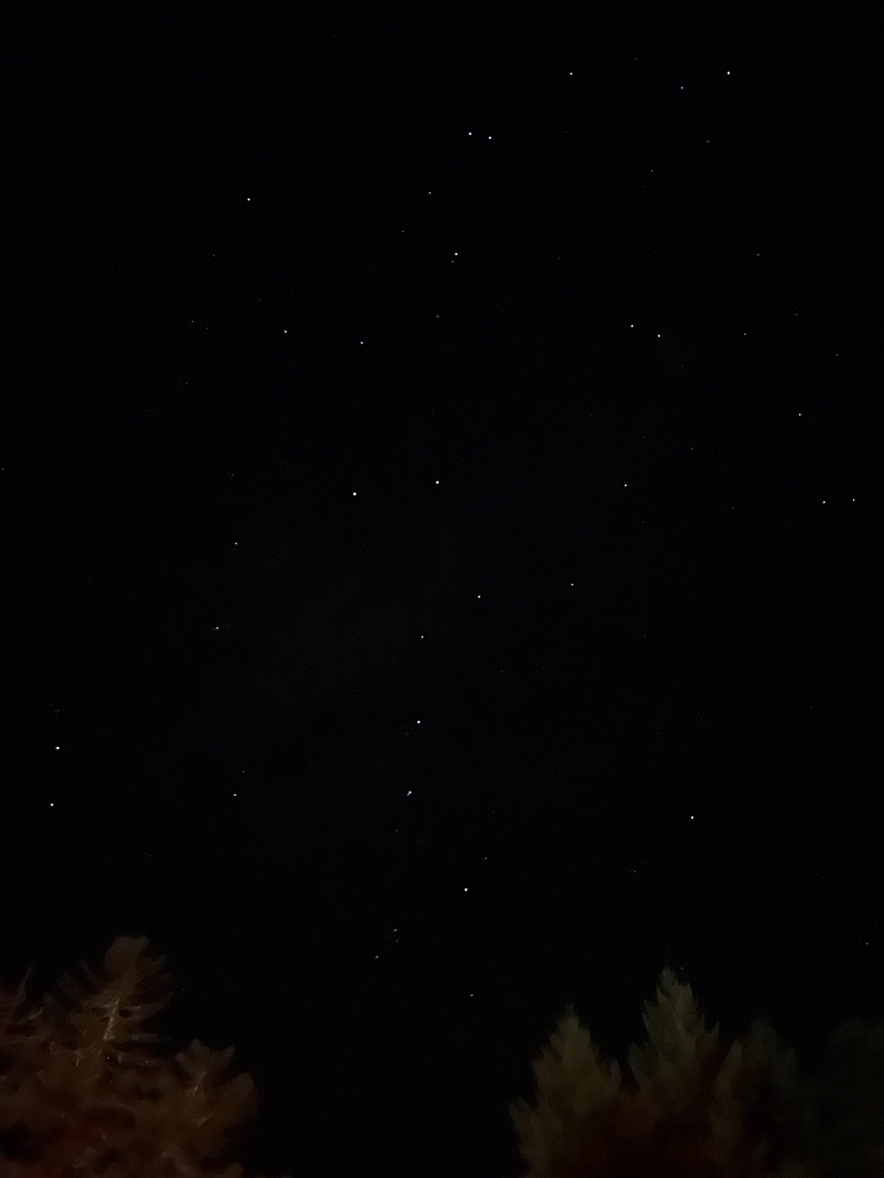 Camper-submitted photo at Wells Creek and Angler RV Resort near Elkton, OR