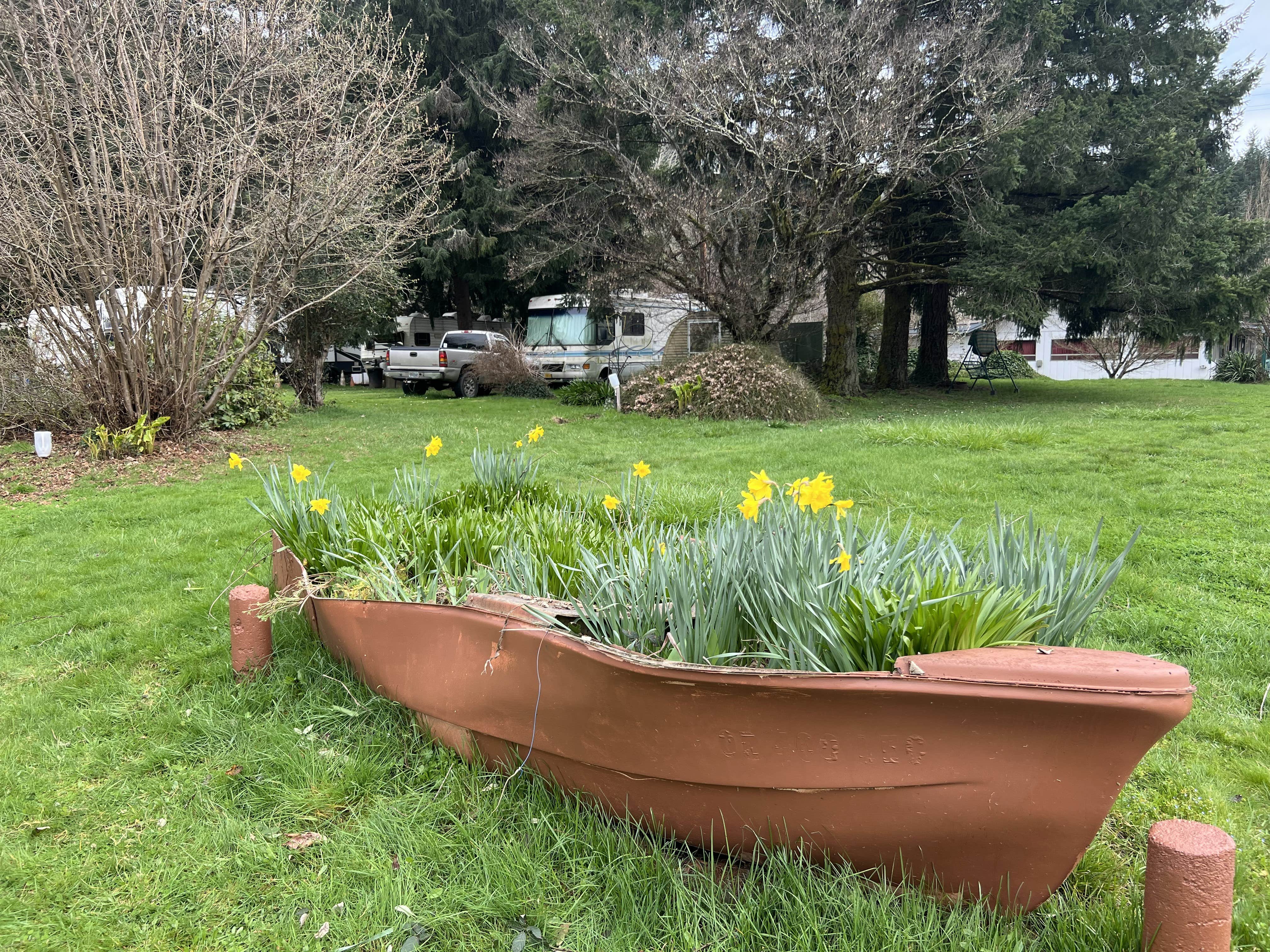 Camper-submitted photo at Wells Creek and Angler RV Resort near Elkton, OR