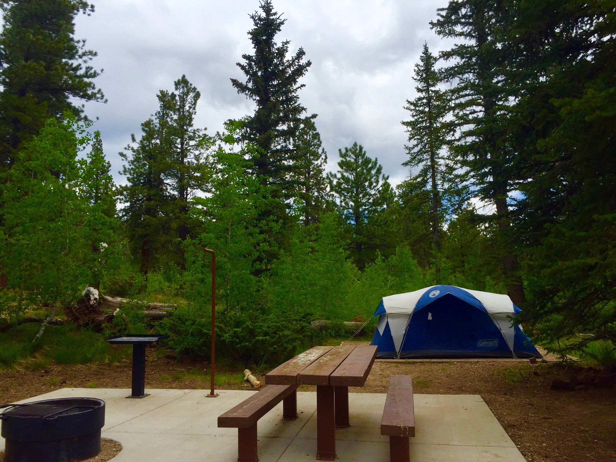 Camper submitted image from Duck Creek - 5