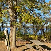 Review photo of Marshall State Fish and Wildlife Area by Maria Mercedes M., May 25, 2026
