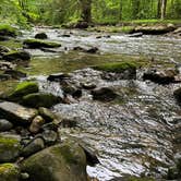 Review photo of Medix Run Camping Area — Moshannon State Forest by Ann P., May 26, 2026