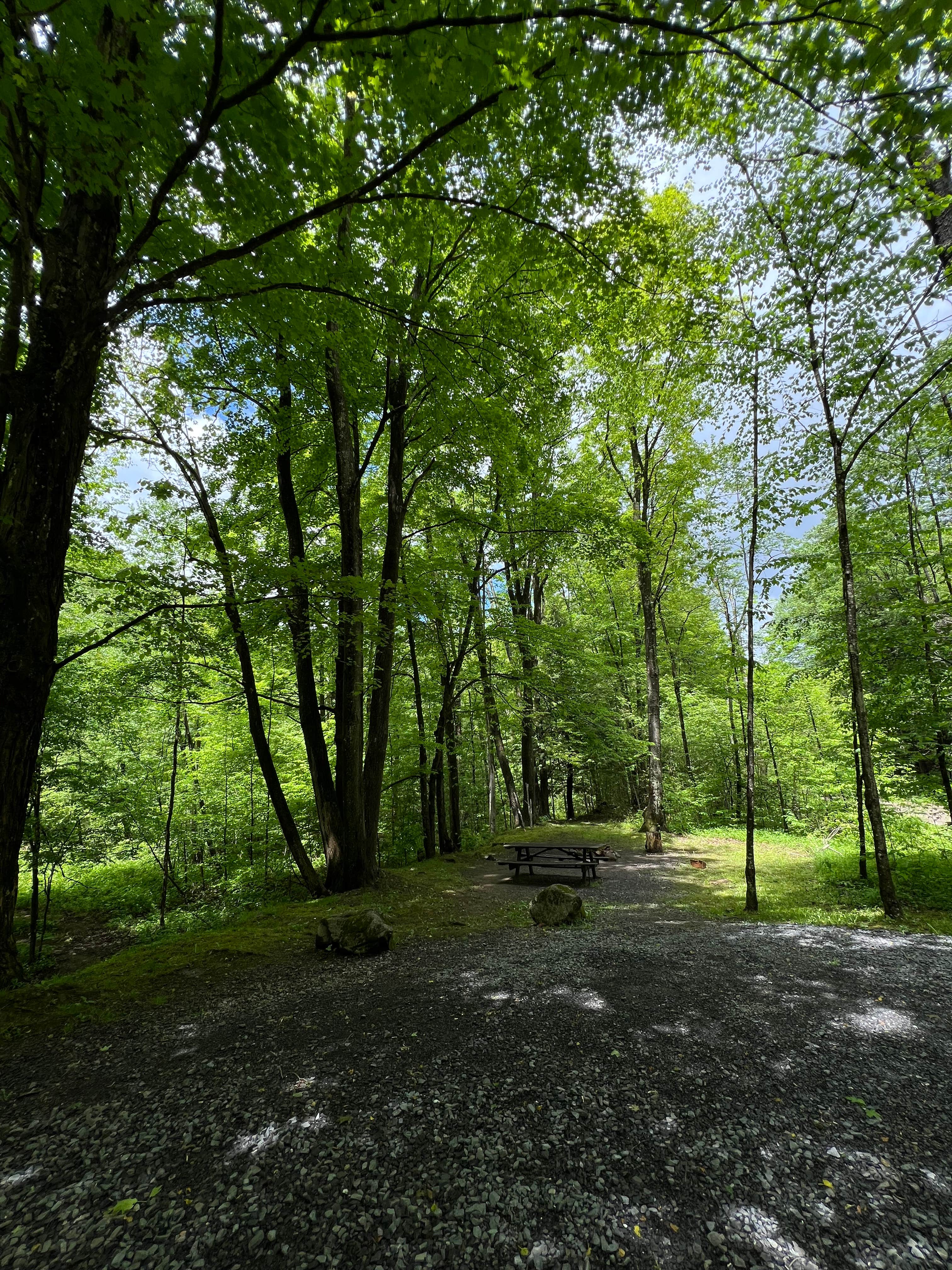 Camper-submitted photo at Medix Run Camping Area — Moshannon State Forest near St. Marys, PA