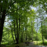 Review photo of Medix Run Camping Area — Moshannon State Forest by Ann P., May 26, 2026