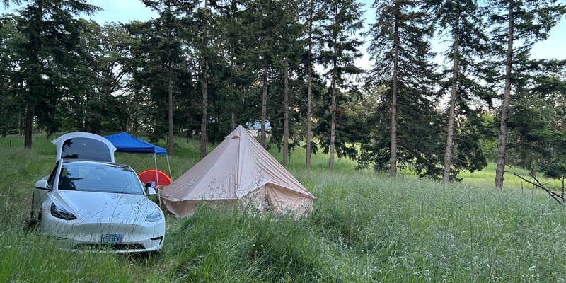 Camper submitted image from McDowell Family Farm