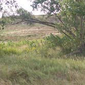 Review photo of Wilson State Park Campground by Tommie J., September 29, 2016