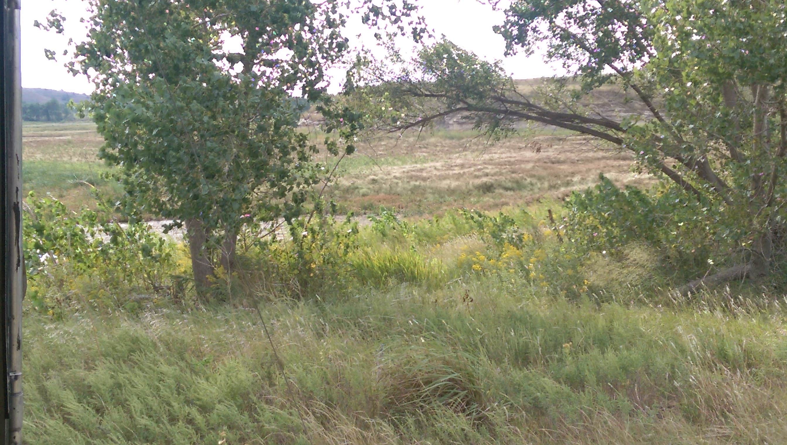 Camper submitted image from Wilson State Park Campground - 2