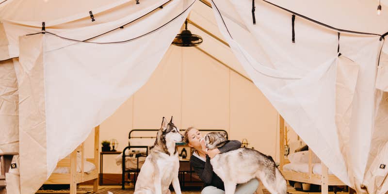 Camper submitted image from Timberline Glamping at Lake Lanier River forks