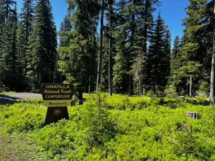 Camping near Mottet: Woodward Campground — Umatilla National Forest, Weston, Oregon