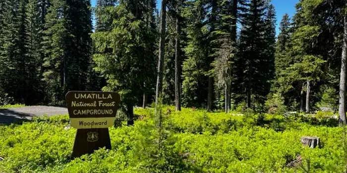 Camper submitted image from Woodward Campground — Umatilla National Forest