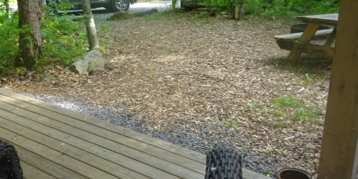 Camper submitted image from Wild Yough Glamping Huts