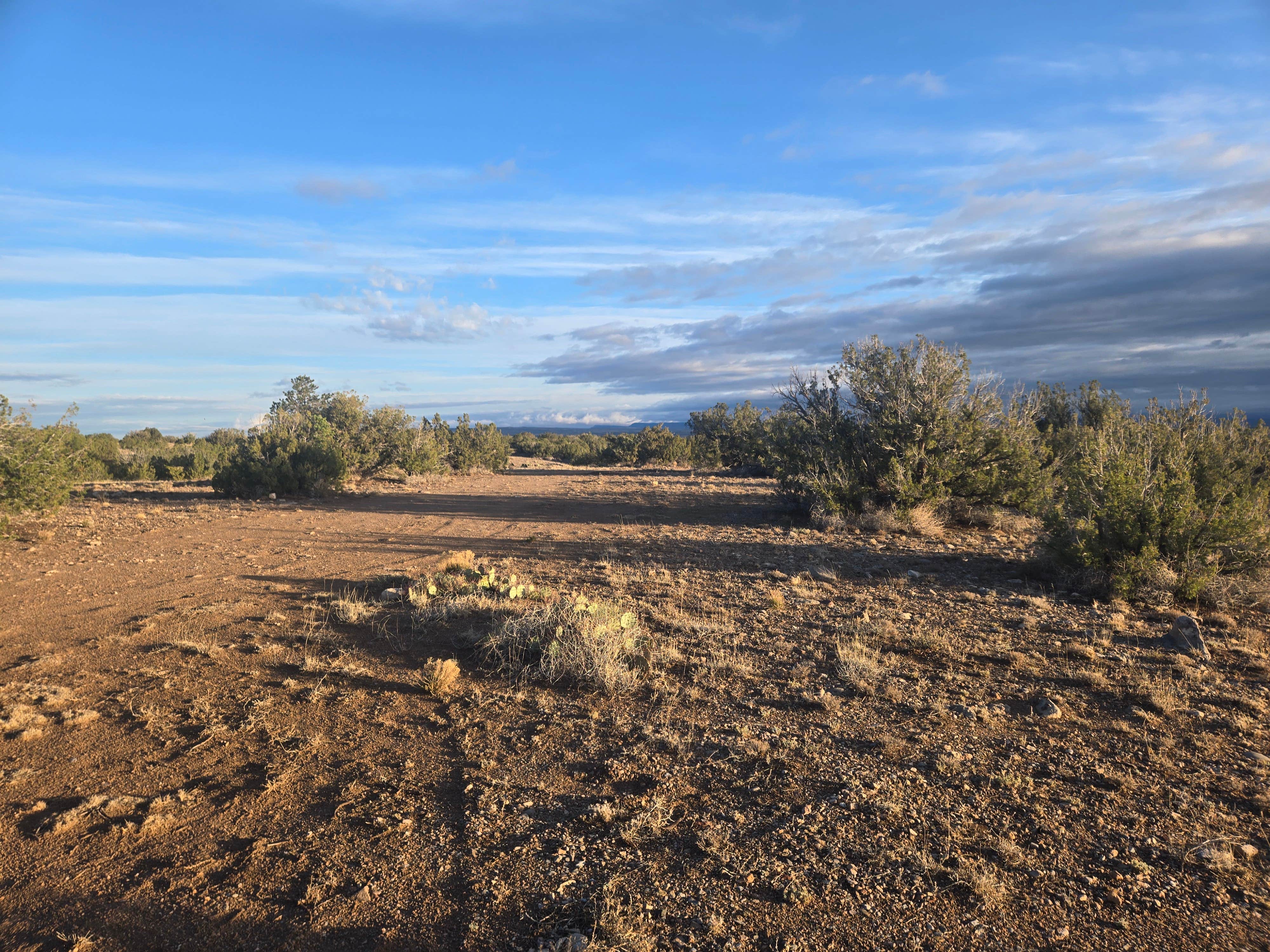 Camper-submitted photo at Placitas BLM near Albuquerque, NM