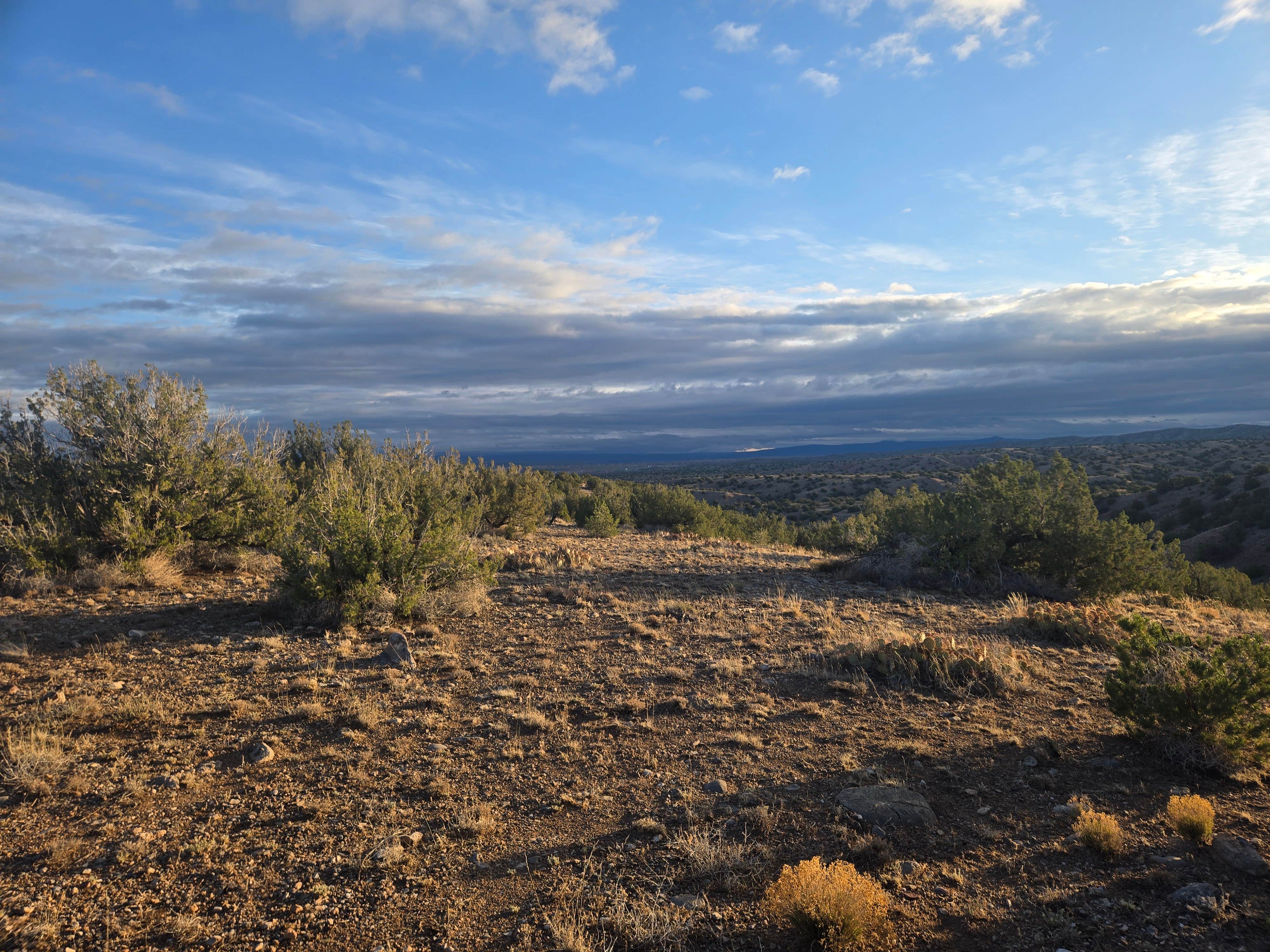 Camper-submitted photo at Placitas BLM near Albuquerque, NM