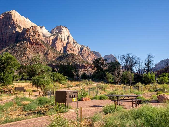 Camper-submitted photo at South Campground — Zion National Park in Utah