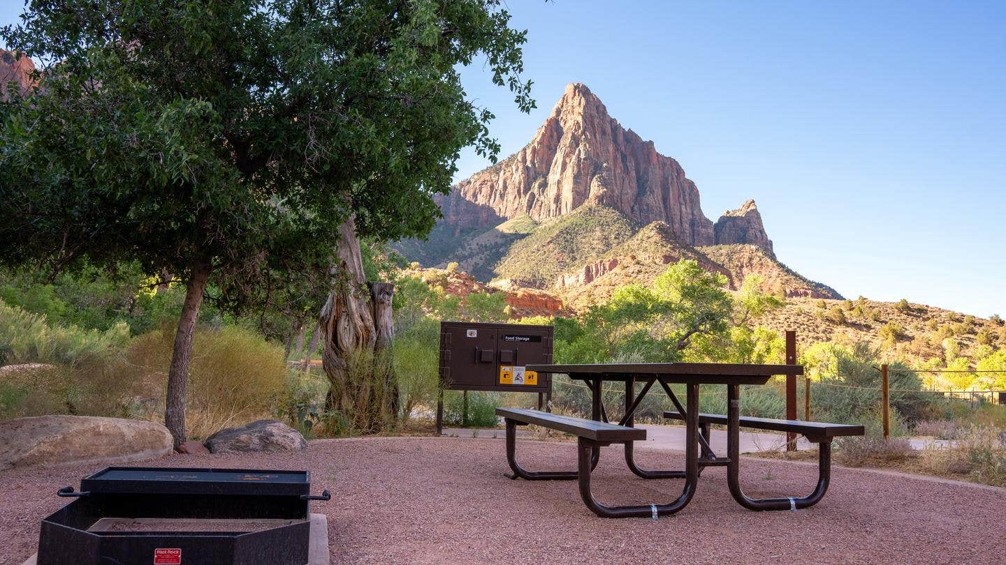 Camper-submitted photo at South Campground — Zion National Park in Utah