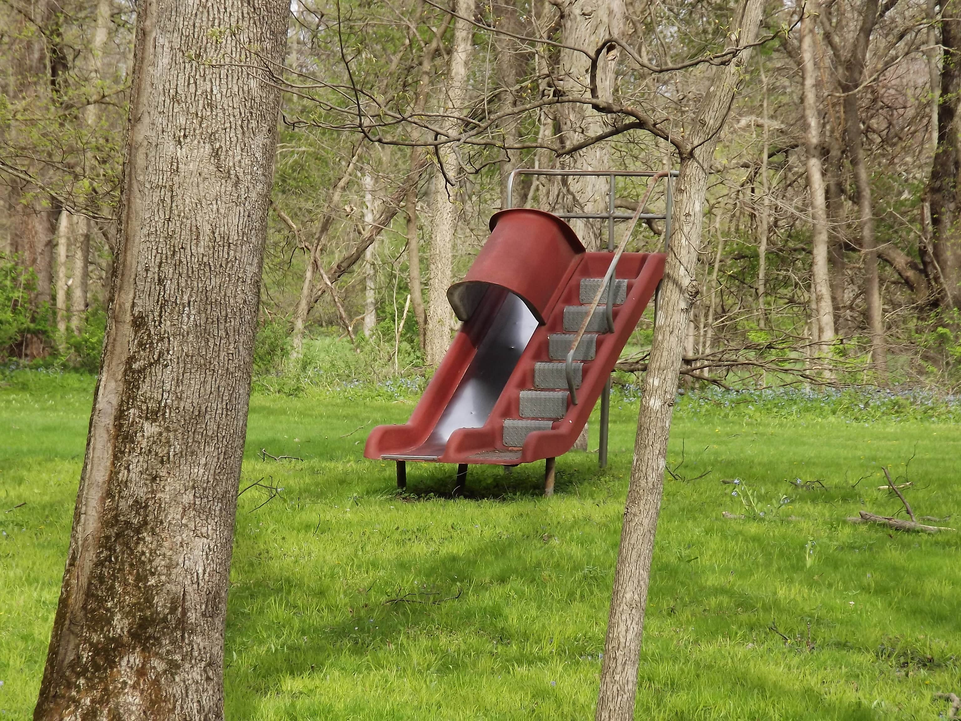 Camper-submitted photo at Reece Park near Steamboat Rock, IA
