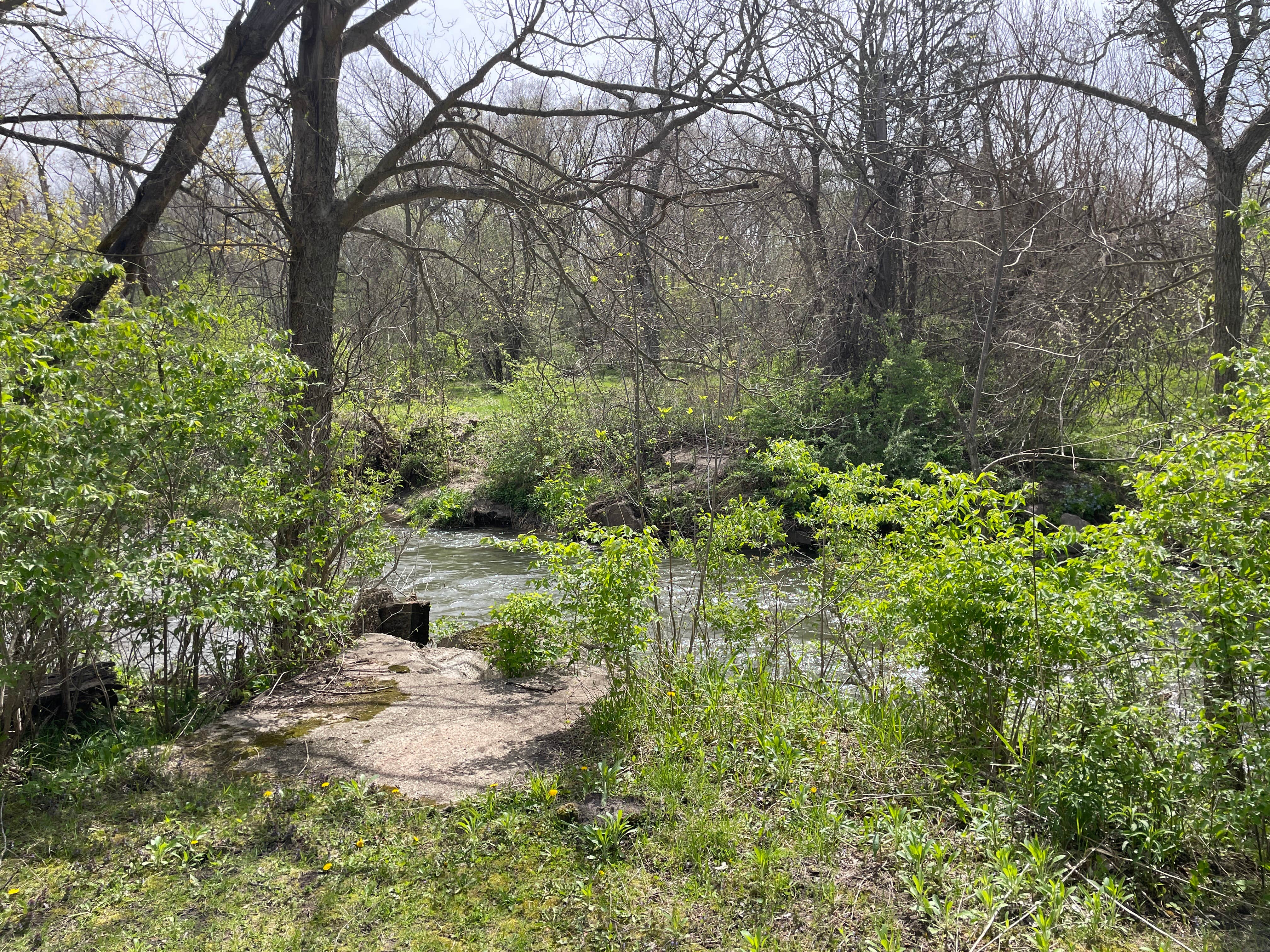 Camper-submitted photo at Reece Park near Steamboat Rock, IA