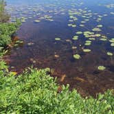 Review photo of Wilderness State Park Camping by Emily B., June 11, 2016