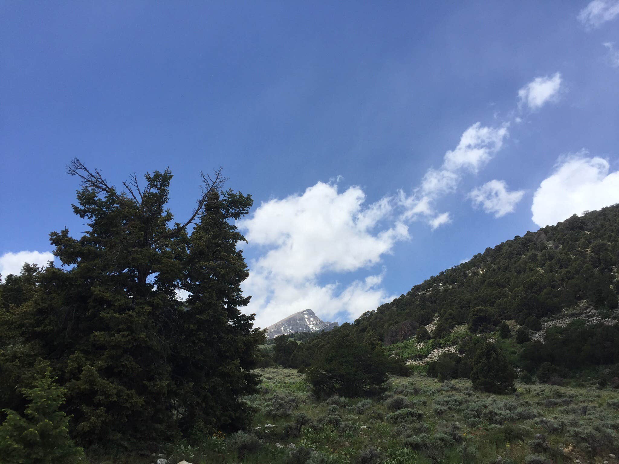 Camper-submitted photo at Lower Lehman Campground — Great Basin National Park near Baker, NV