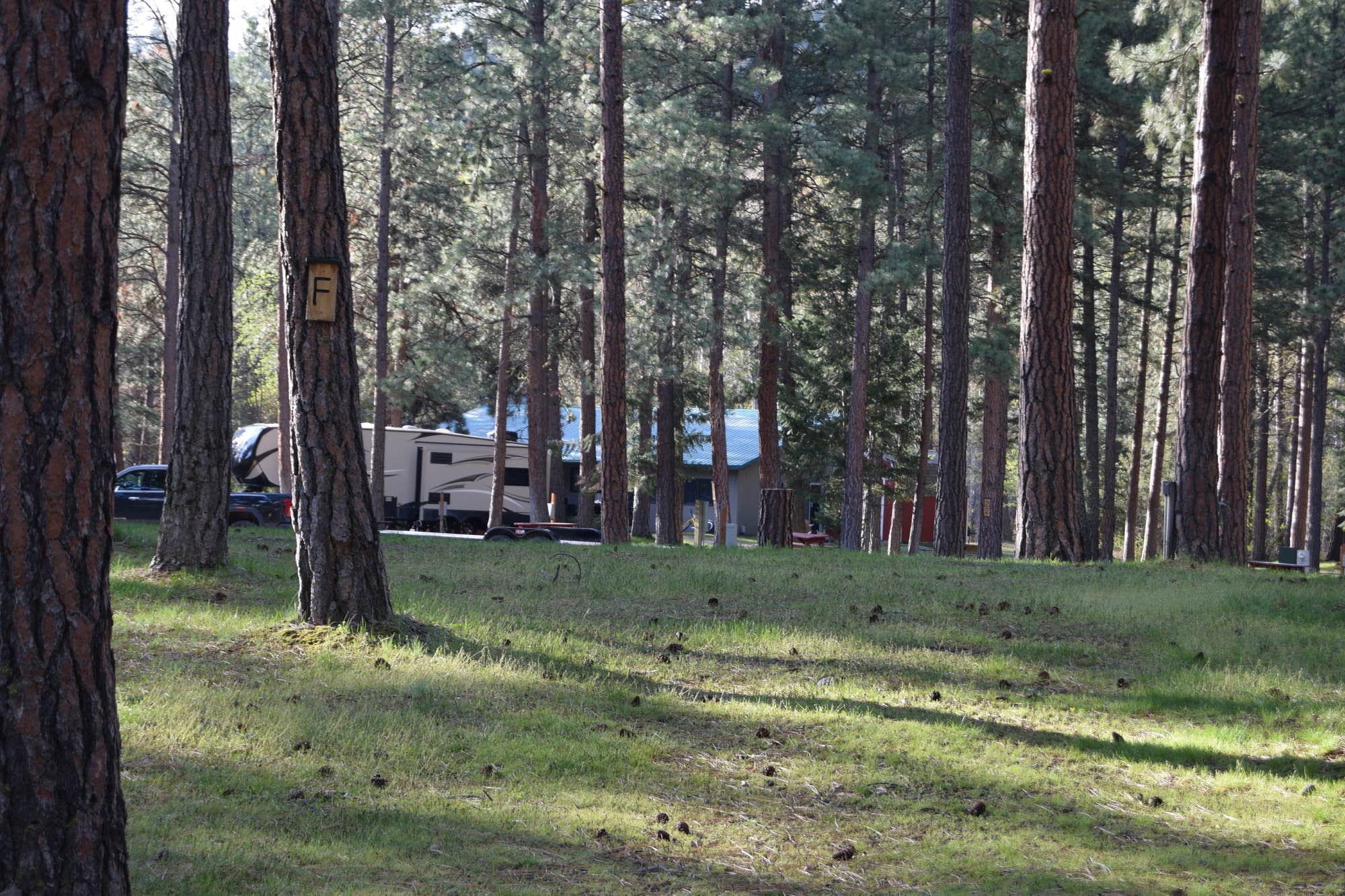 Camper-submitted photo at Yellowrock Campground near Missoula, MT