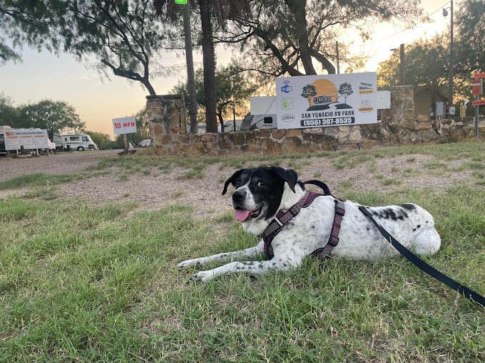 Camper-submitted photo at San Ygnacio RV Park near Laredo, TX