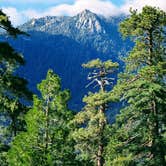 Review photo of Marion Mountain by Dick T., May 31, 2026
