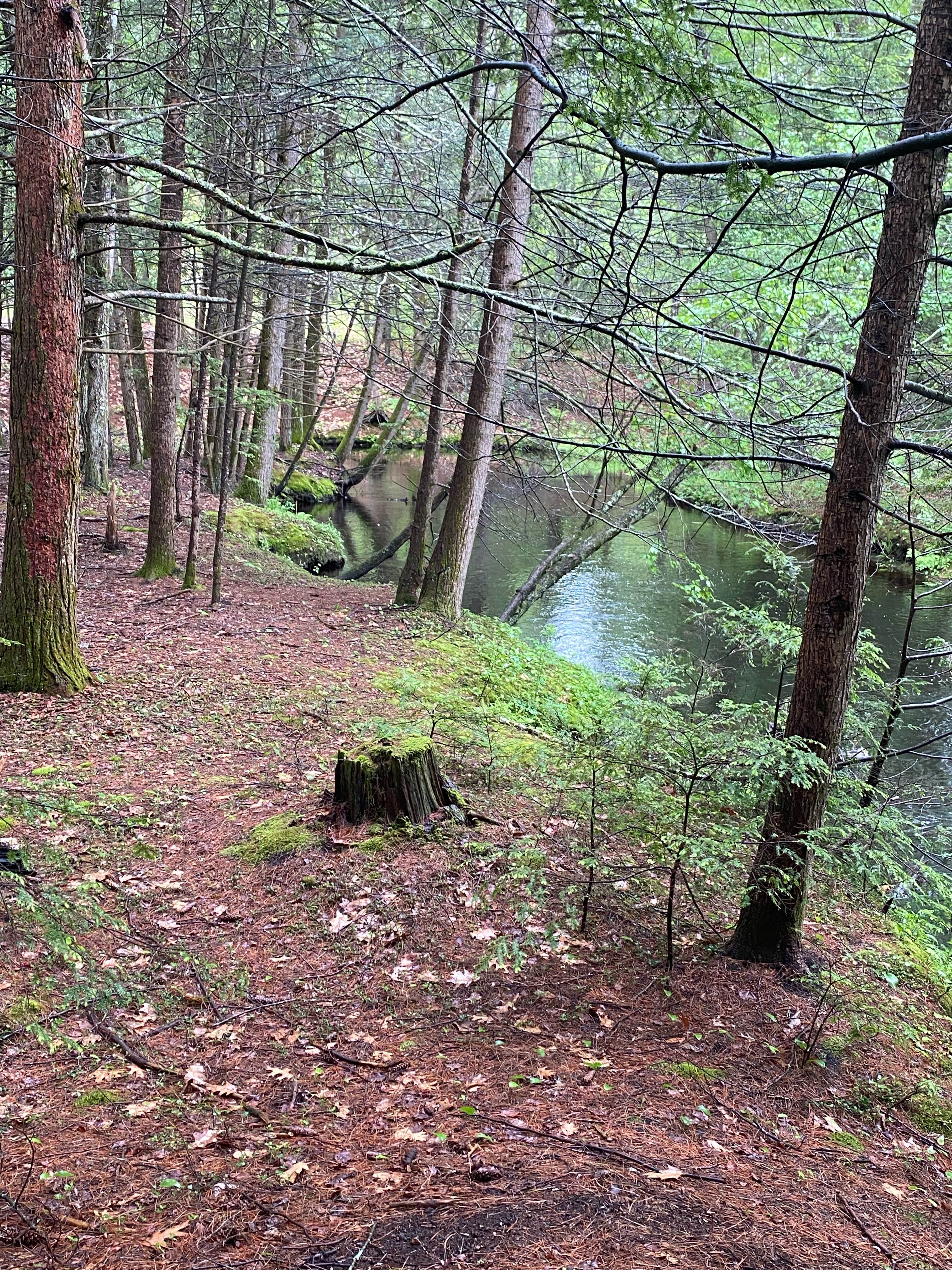 Camping near Pine Acres Resort: Little River Retreat, Lee, New Hampshire