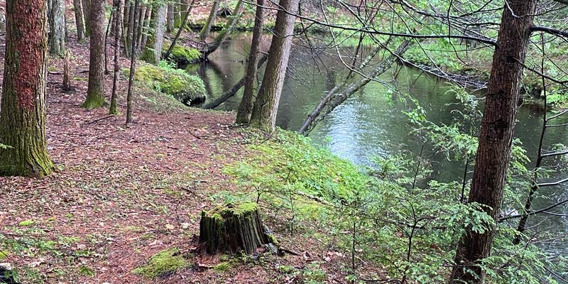 Camper submitted image from Little River Retreat