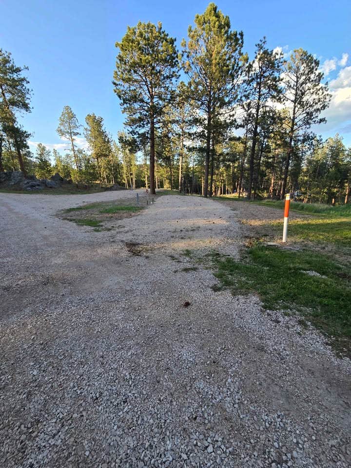 Camping near Aspen Meadows Ranch Horse Camp: KPM RV Campsites, Custer, South Dakota
